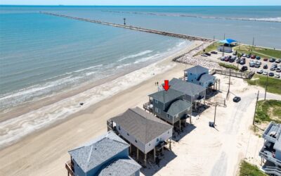 Jetty Sunrise•NEW•Pedestrian Beach•Pets•Park