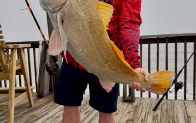 Sea 2 Believe•OCEAN FRONT•Deck Fishing•Pets•Value